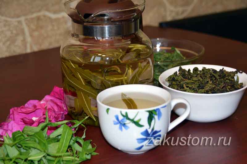 Чай из хвои - полезные свойства и противопоказания