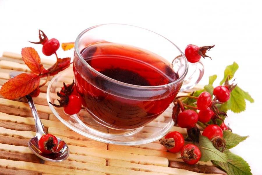 Чай с калиной - полезные свойства, рецепты, при беременности