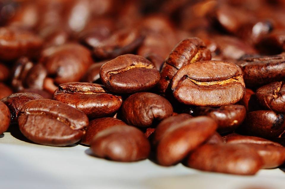 Что лучше: арабика или робуста — рейтинг хорошего кофе в зернах 2021 года