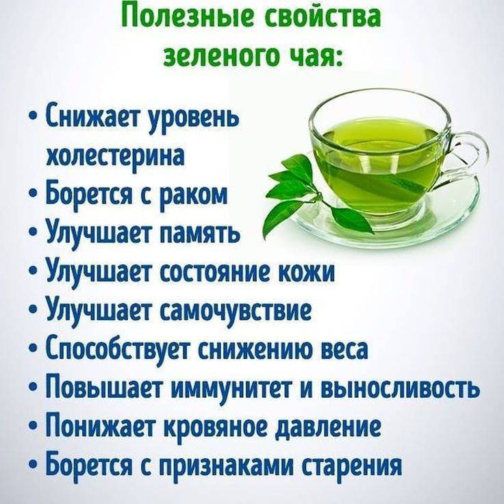 Чай: польза и вред для здоровья организма