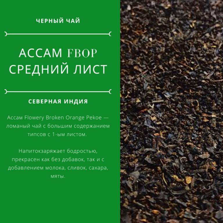 Индийский чай ассам: описание, как заваривать. черный листовой и гранулированный