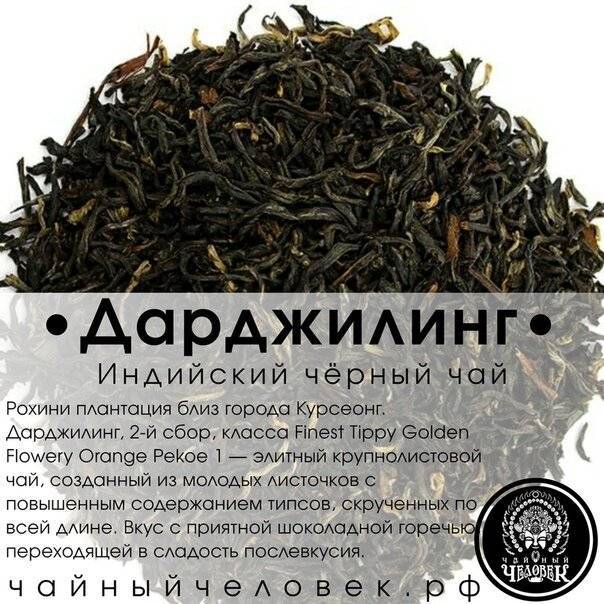 Чай дарджилинг - сорта, способы заваривания, полезные свойства