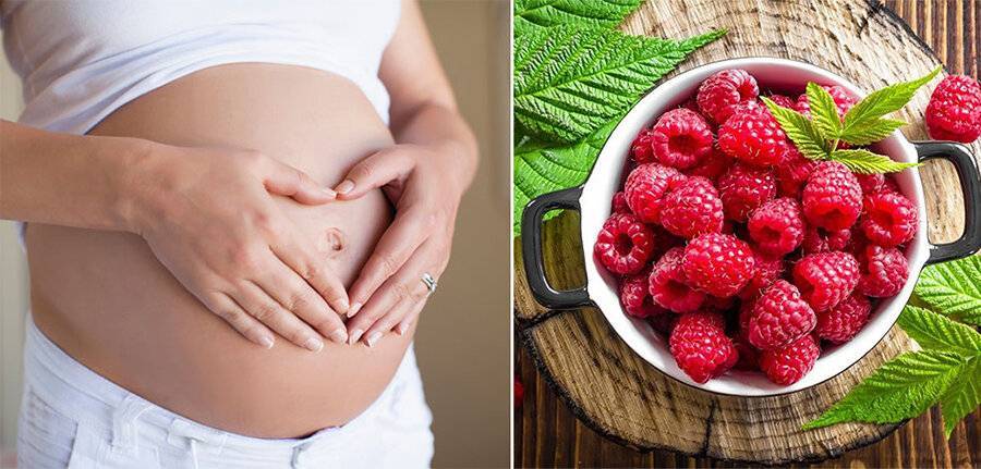 Малина беременным: можно или нельзя, листья или ягоды, чай или варенье?