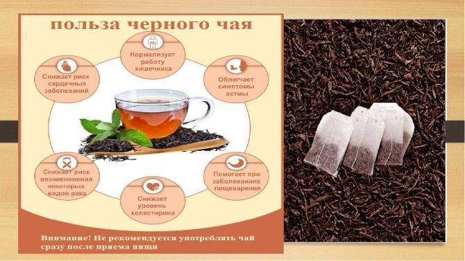 Черный чай - полезные свойства, польза и вред напитка, противопоказания