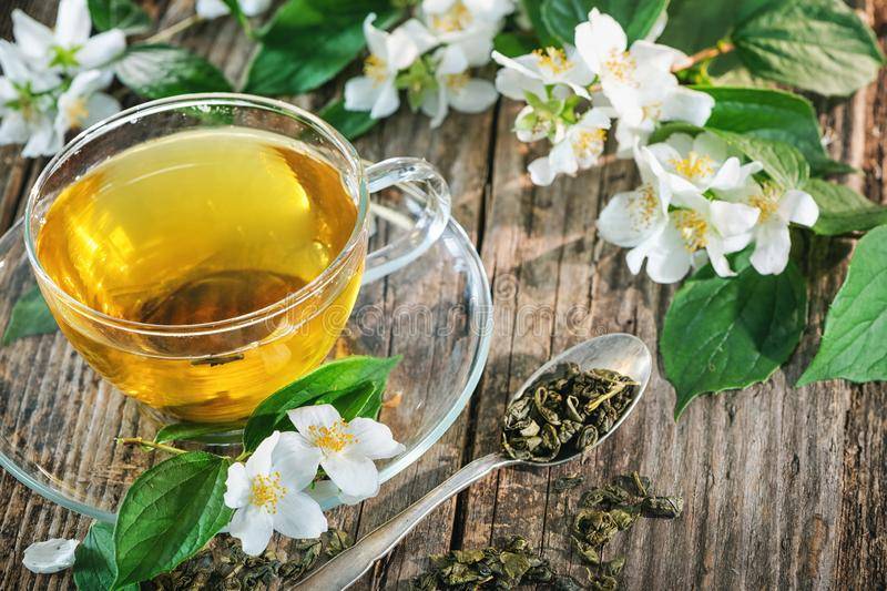 Зеленый чай с жасмином — польза и вред, полезные свойства, как правильно заваривать и сколько пить