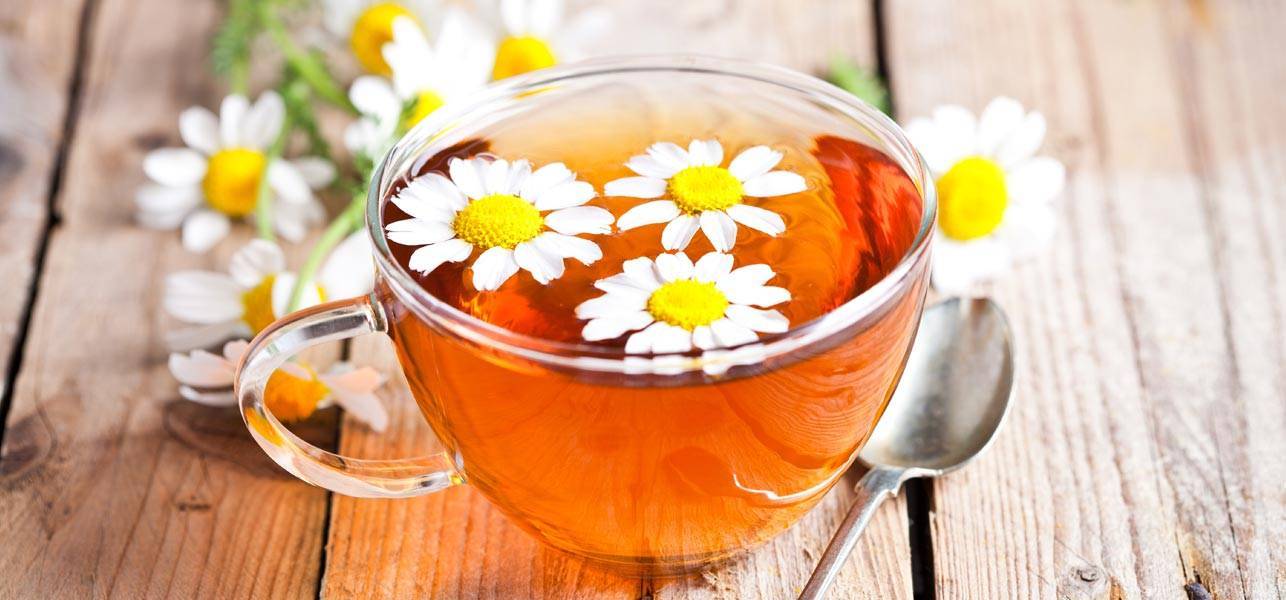 Какая польза от ромашкового чая: 11 целебных свойств, вред, как заваривать