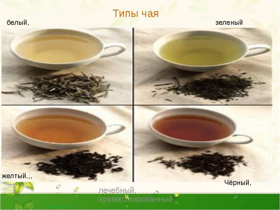 Чем отличаются черный и зеленый чай: какой полезнее, можно ли смешивать