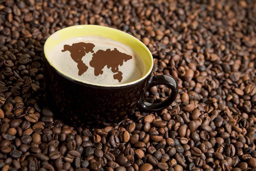 Как правильно хранить кофе: в зернах, молотый и растворимый ☕