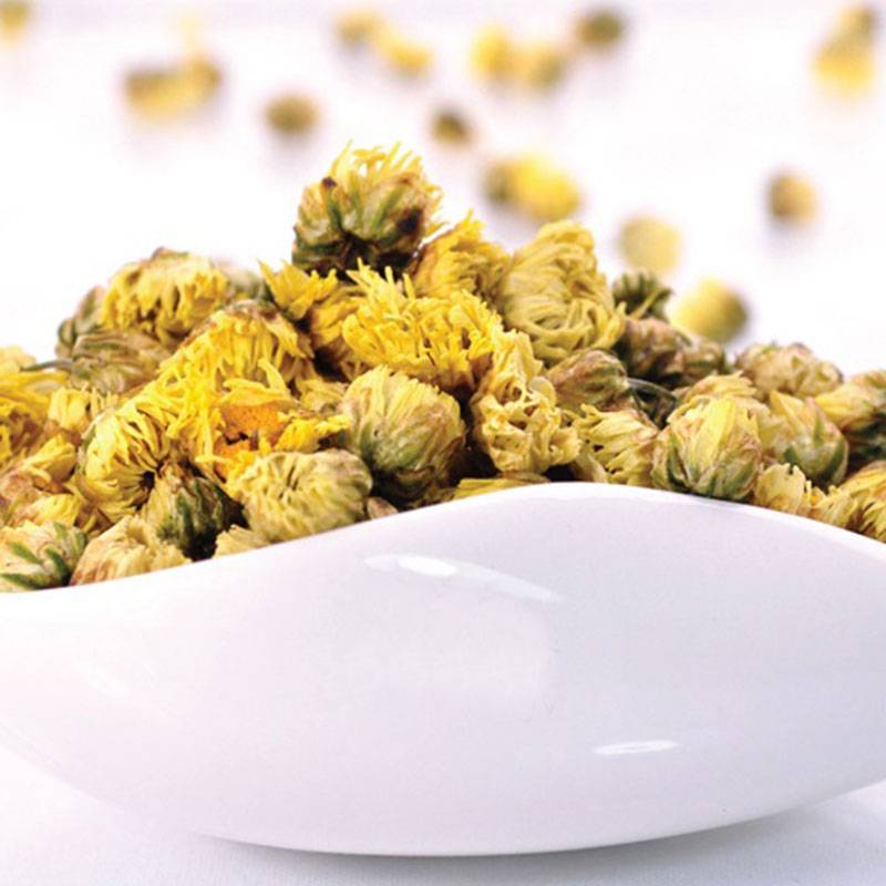 Чайная хризантема: свойства и особенности растения