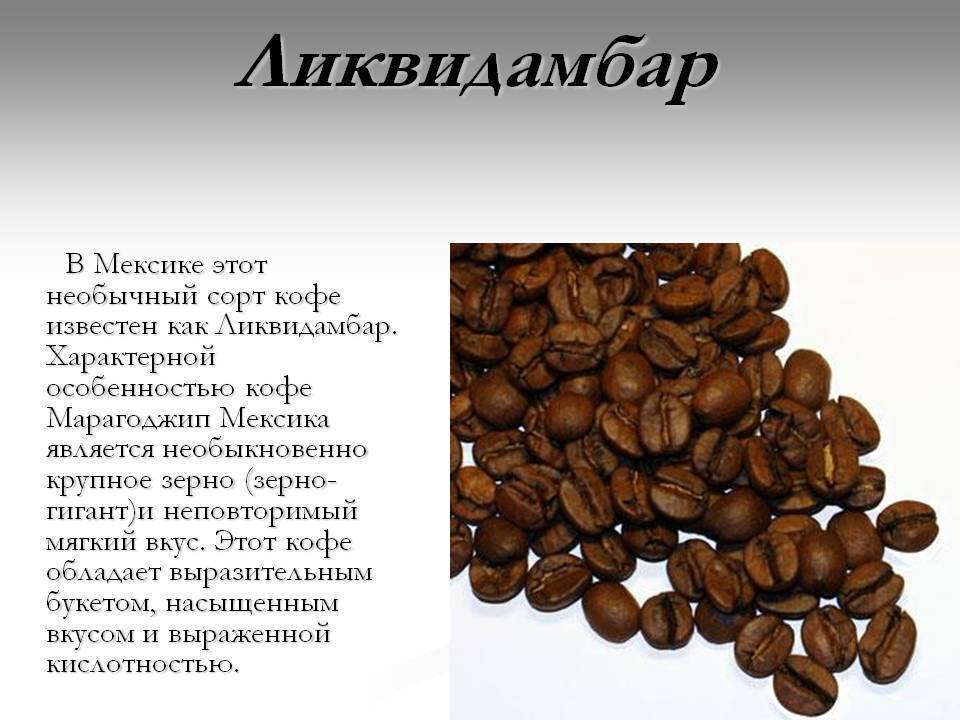 Сколько калорий в кофе и кофейных напитках, состав кофейного зерна