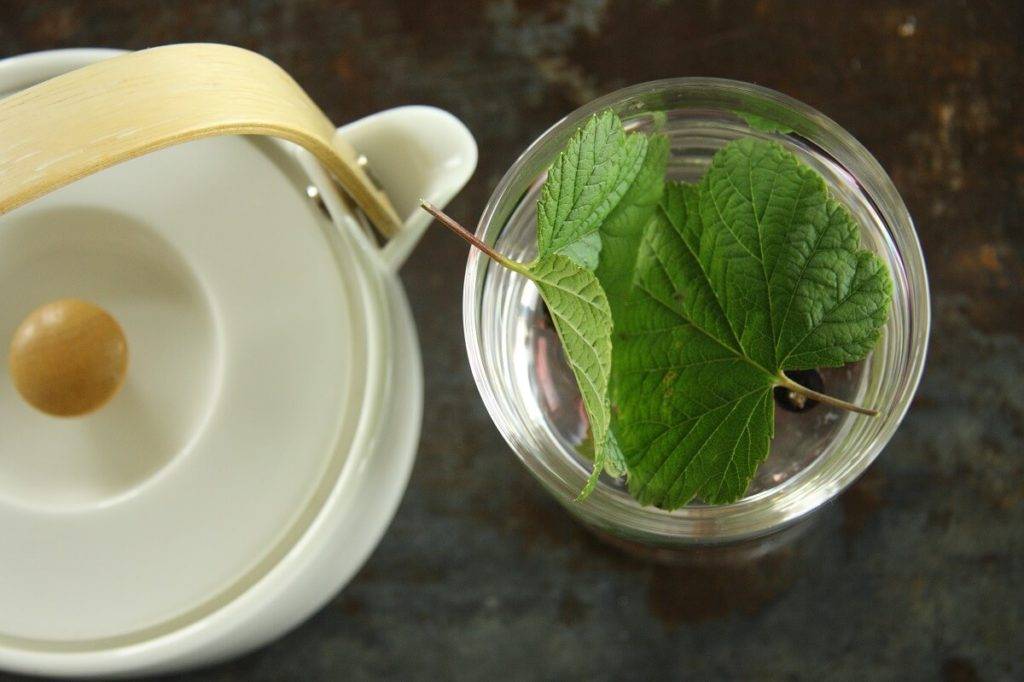 Чай ферментированный из листьев черной смородины рецепт с фото пошагово - 1000.menu