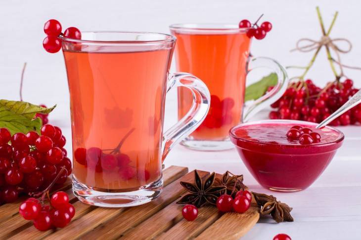 Чай с калиной — как правильно приготовить полезный напиток