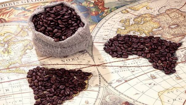 Все о кофе: что это такое, его разновидности, польза и вред популярного напитка • всезнаешь.ру