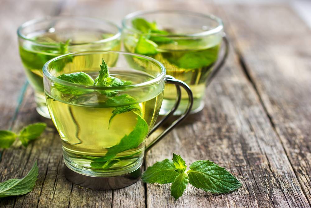 Чай из листьев – неисчерпаемый источник здоровья | огородники