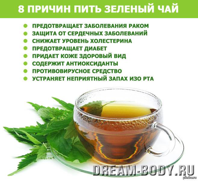 Чем полезен зеленый чай для женщин, от чего он помогает