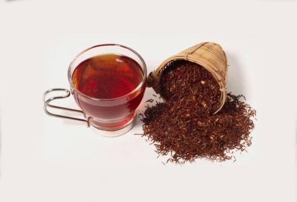 Чай ройбуш — полезные свойства, противопоказания и как заваривать