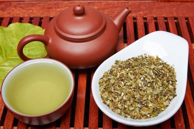 Чай мате (матэ): полезные свойства и противопоказания, как заваривать
