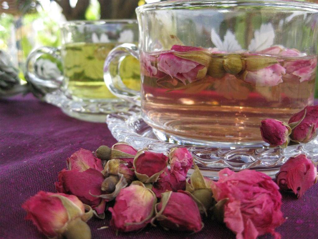 Отвар из лепестков роз: рецепт приготовления, полезные и лечебные свойства