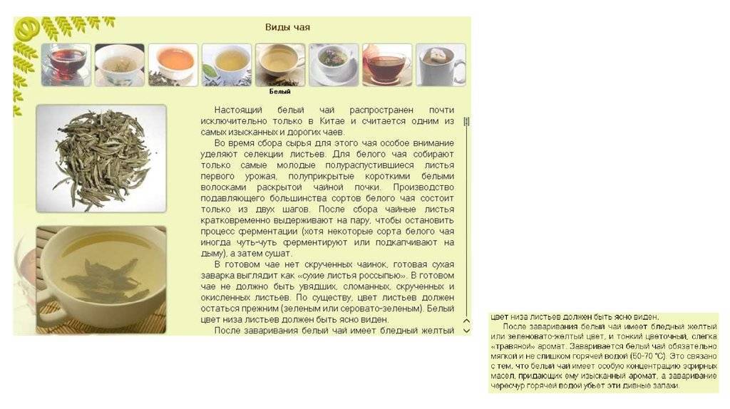 Здоровье из лиственницы. иркутские учёные выпускают уникальное сырьё | здоровье | аиф иркутск
