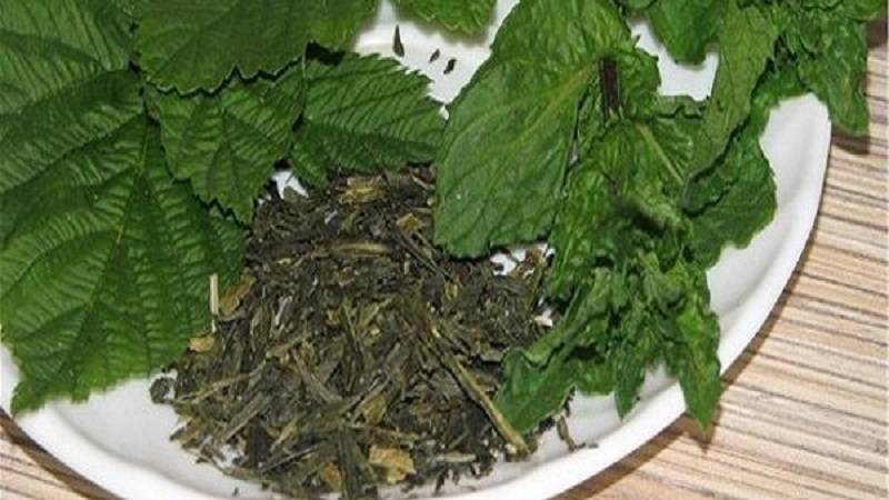 Когда собирать листья малины для чая: как правильно сушить, лечебные свойства