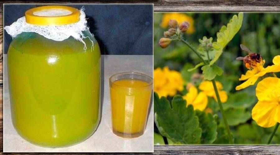 Ферментный квас болотова: лечебный напиток от болезней, рецепты | spacream.ru