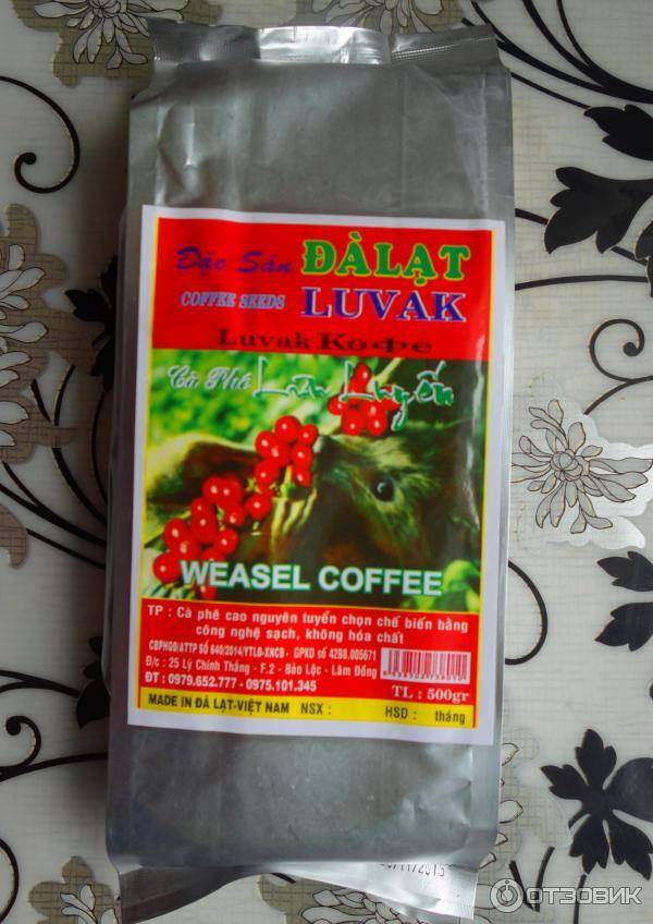 Кофе из вьетнама: сорта, как заваривать правильно по-вьетнамски