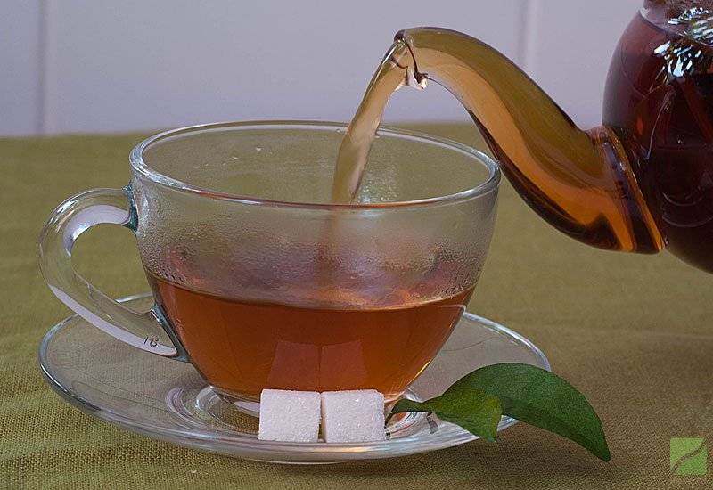 Как заваривать чагу правильно и пить чаговый чай. чем полезна, рецепты