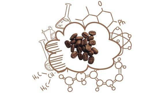 Химический состав кофе. влияние кофеина на организм