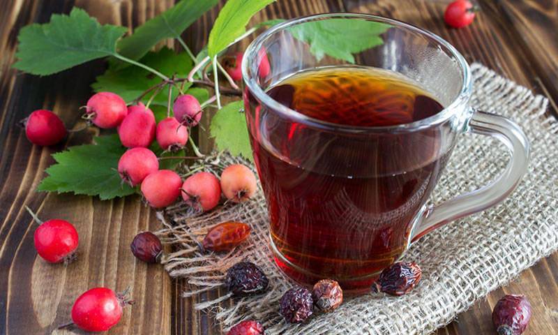 Чай из боярышника: целебные свойства и способы приготовления