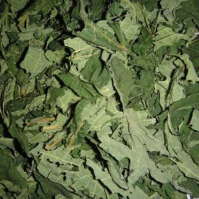 Чай из листьев папайи: полезные свойства, вред, как заваривать