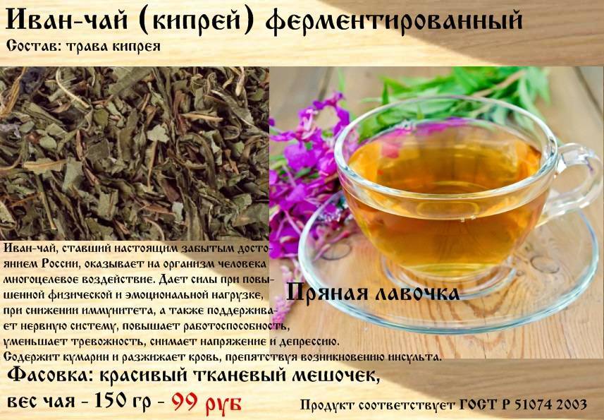 Иван-чай - полезные свойства и противопоказания. как правильно заваривать и пить чай из кипрея для лечения