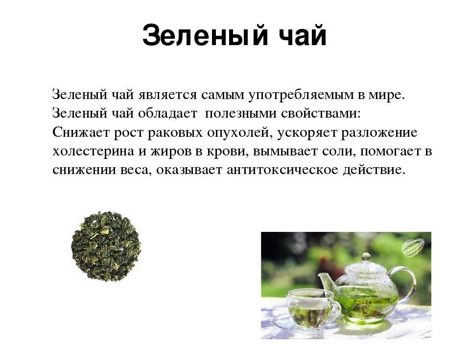 Зеленый чай, польза и вред для женщин, как пить и как заваривать чай