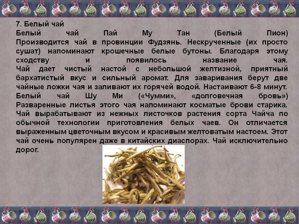Чай мате (матэ): полезные свойства и противопоказания, как заваривать | zaslonovgrad.ru