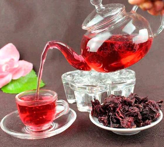 Чай из гибискуса – описание, свойства, применение, польза для организма