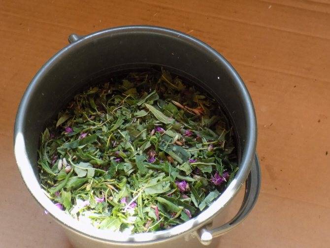 Способы приготовления копорского чая в домашних условиях