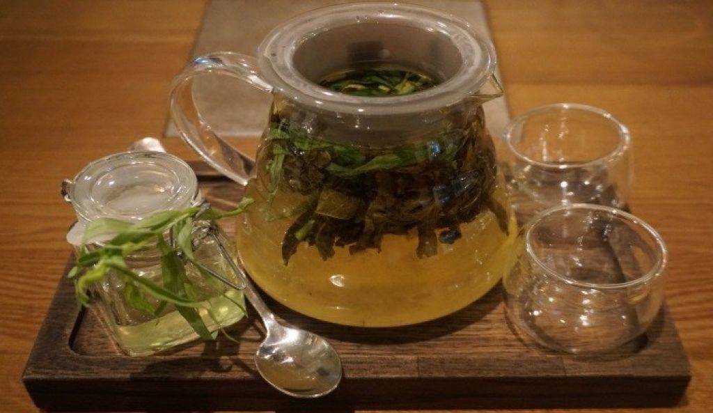 Чай с тархуном: польза и особенности приготовления