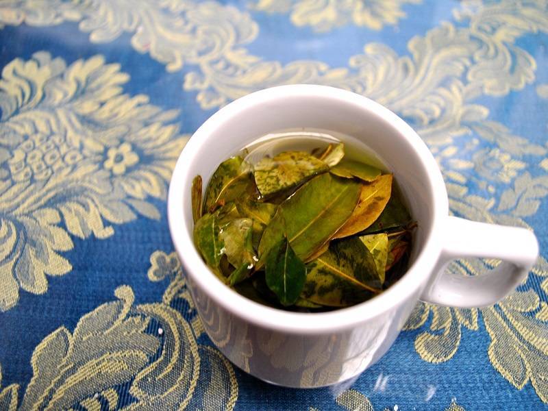 Чай из листьев инжира – полезные свойства