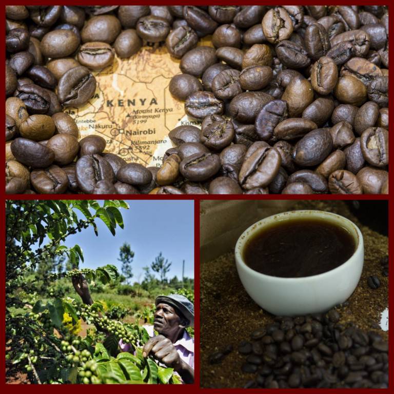 История кофе: как открыли, легенды, распространение по миру
