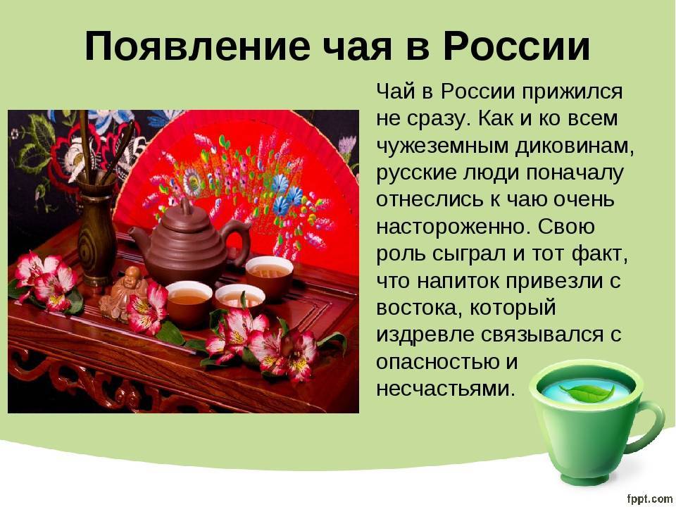 Русское чаепитие: традиций и история чая в россии