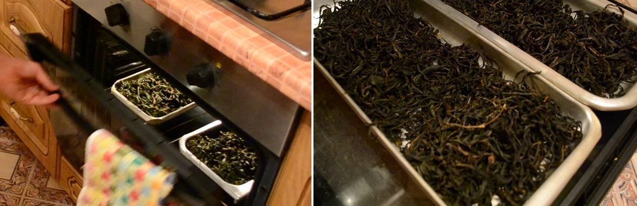 Как заваривать иван-чай: самые простые и популярные способы