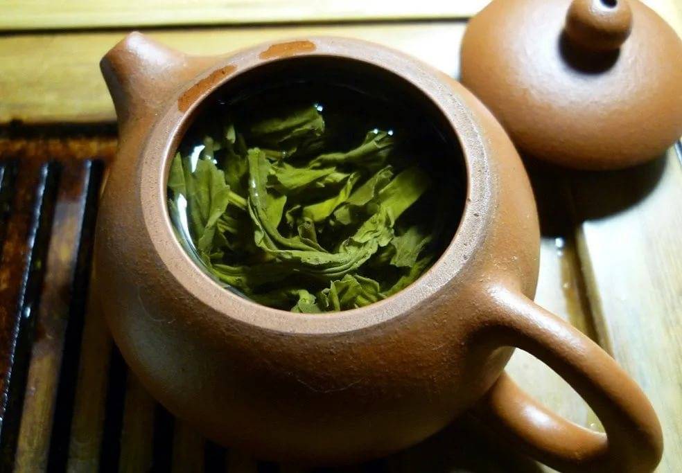 Чай канкура для похудения: полезные свойства и заваривание