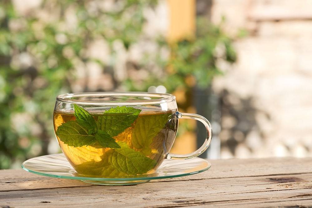 Как заваривать чай с мелиссой: полезные свойства и противопоказания напитка