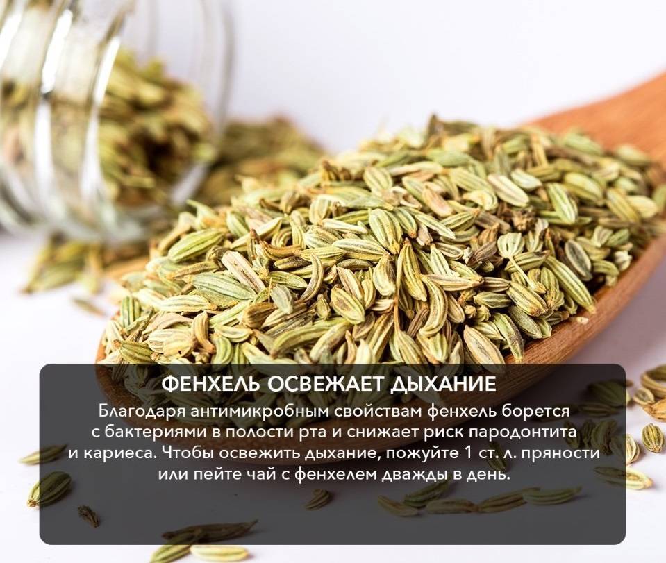 Травяной чай фенхель: как заваривать, полезные свойства