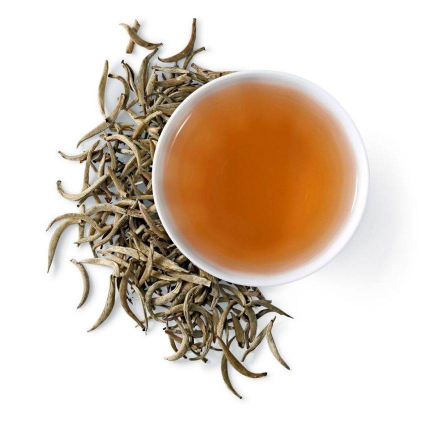Белый чай: что это такое, польза и вред напитка