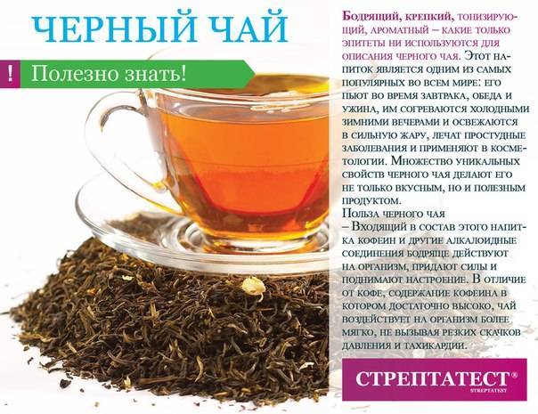 Черный чай: польза и вред для здоровья человека