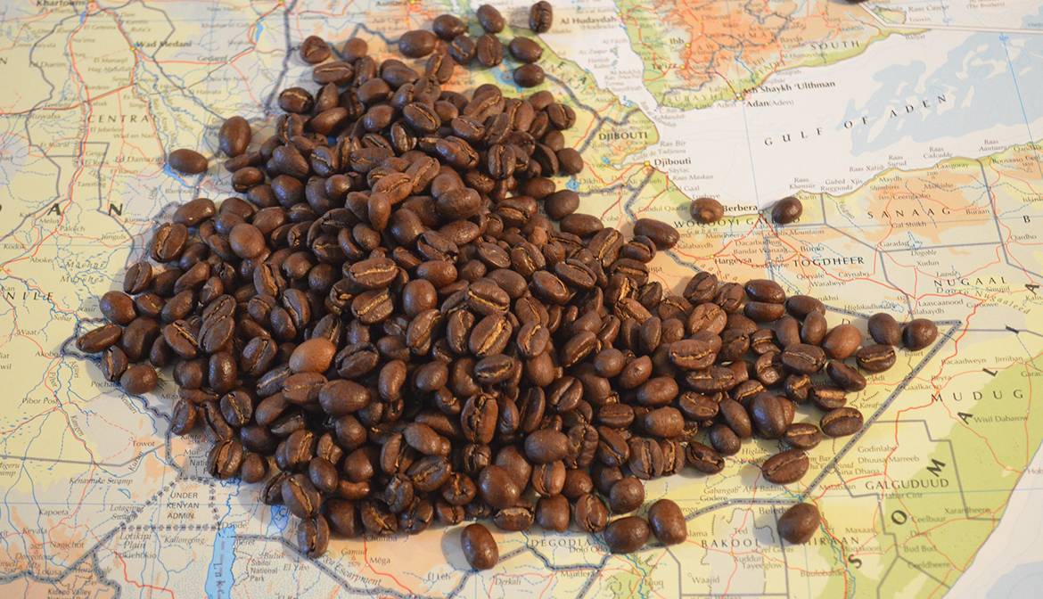 История кофе: происхождение и возникновение популярного напитка