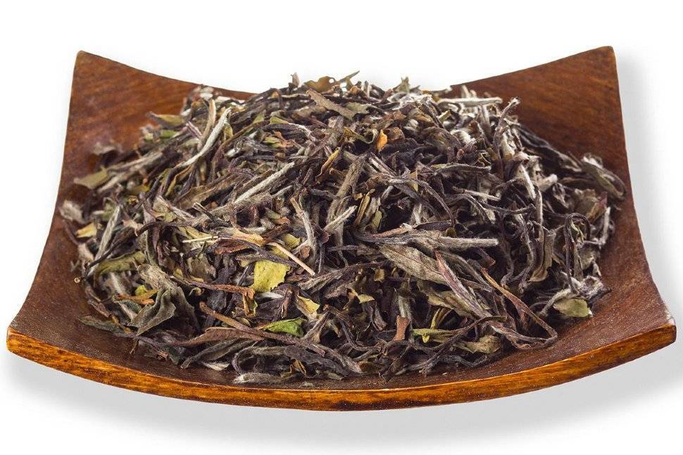 Белый чай: польза и вред, производство и разновидности, правильное заваривание