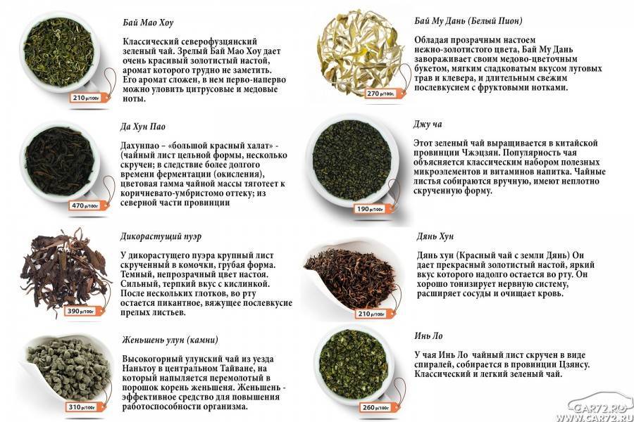 Какой же чай выбрать: черный или зеленый?