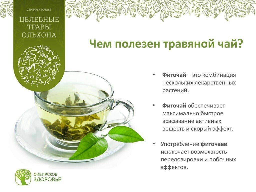 Зеленый чай в косметике. в чем польза этого экстракта для кожи?