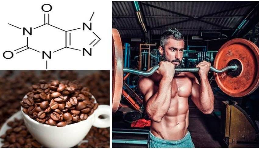 Protein-coffee